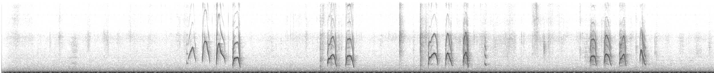 Buntfuß-Sturmschwalbe (chilensis) - ML617429820