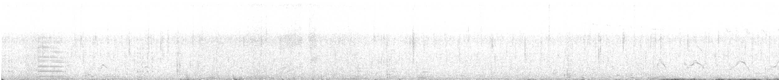 Cormoran de Magellan - ML617429948