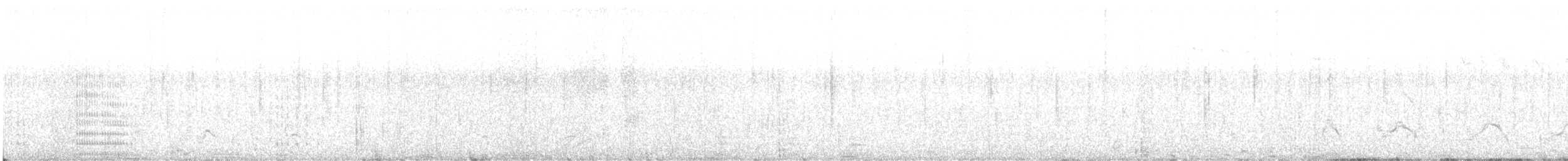 kormorán skalní - ML617429948