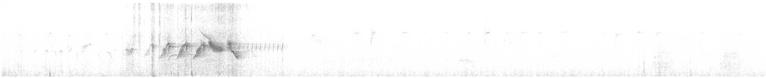Paruline grise - ML617430224