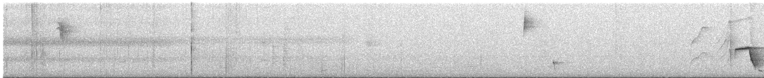 Kara Karınlı Çıtkuşu - ML617430477