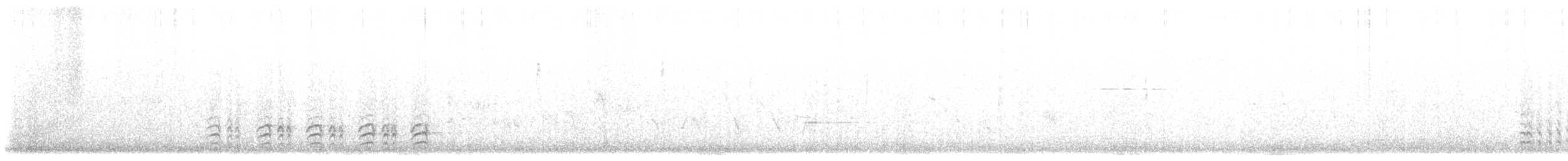 Sittelle à poitrine blanche (groupe lagunae) - ML617430672