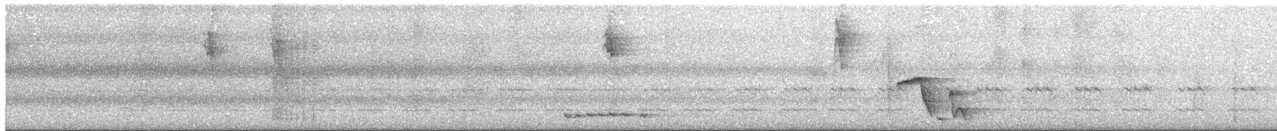 Лінивка-коротун сіродзьоба - ML617431169