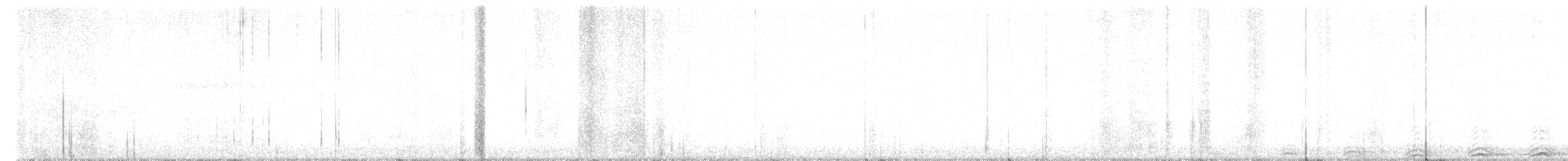 Chouette rayée - ML617431283