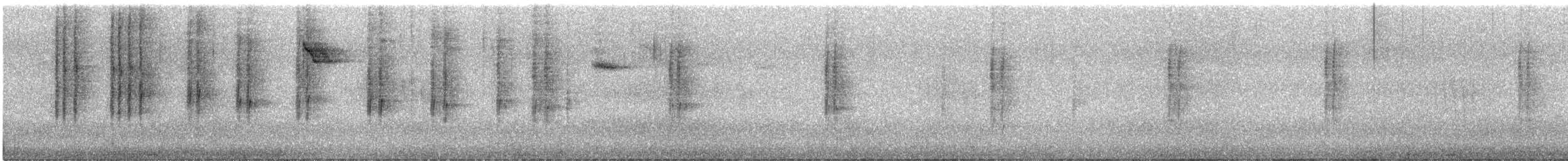 Трясохвіст темночеревий - ML617431325