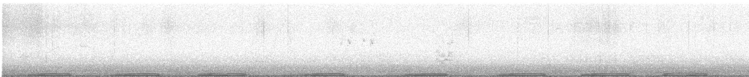 holub skalní (domácí) - ML617431917