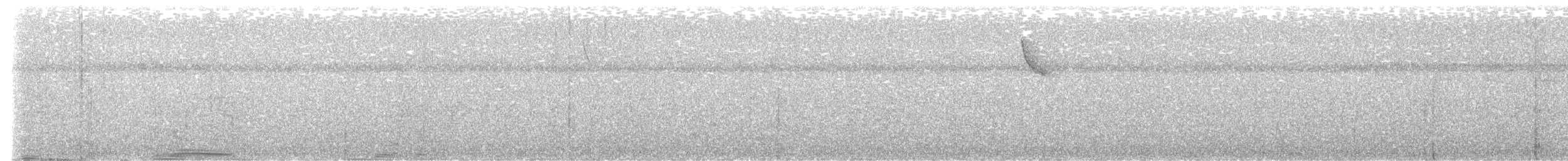 Zeledon Karıncakuşu (berlepschi) - ML617431961