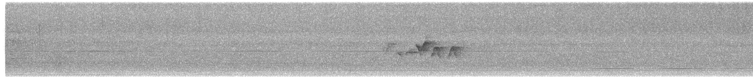 Hooded Warbler - ML617432372