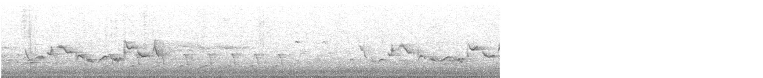 Eastern Warbling Vireo - ML617432548