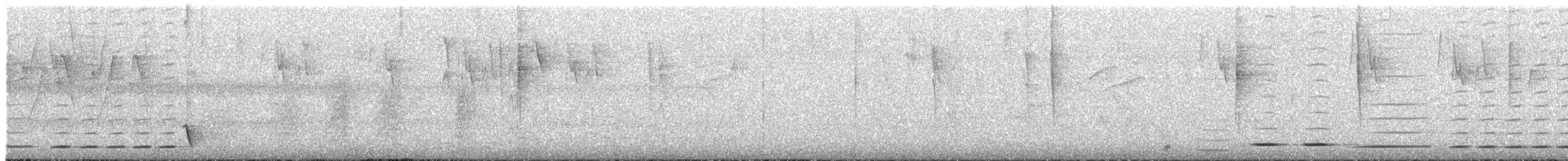 Troglodyte rufalbin - ML617433089