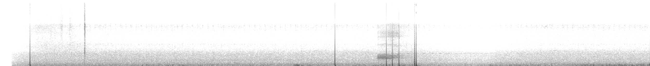 Cuervo Pescador - ML617439724