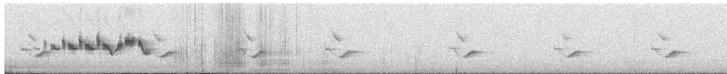 Black-throated Gray Warbler - ML617441874