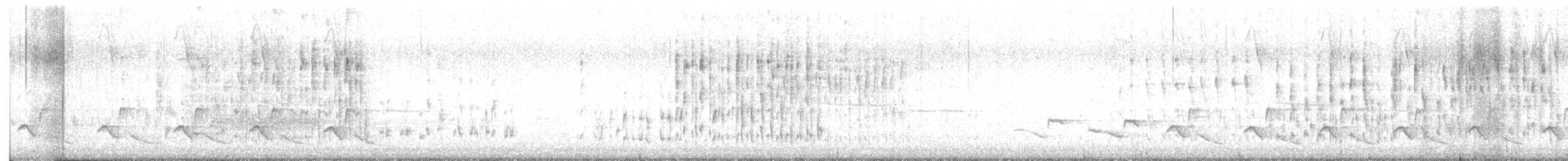 Marsh Wren - ML617443054