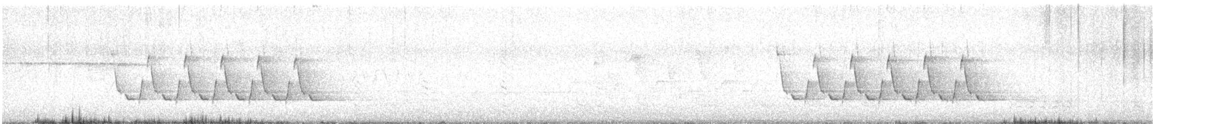 Поплітник каролінський - ML617446560