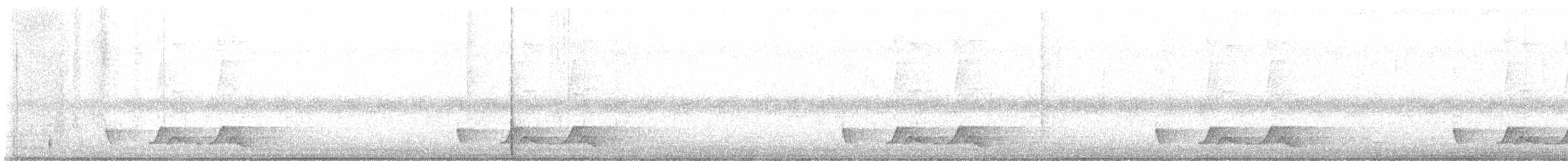 Carolinanachtschwalbe - ML617450181