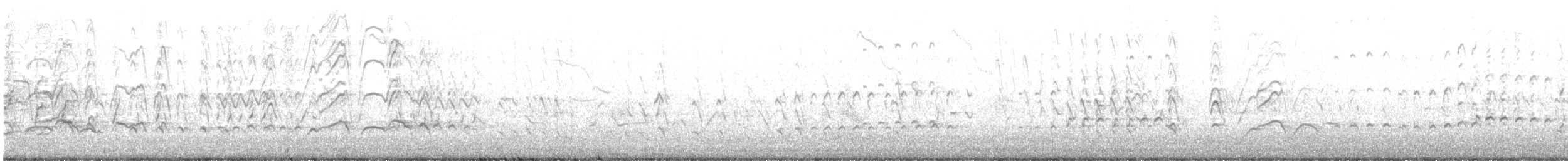 Kara Karınlı Islıkçı Ördek - ML617451359