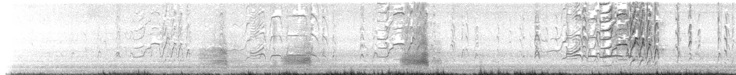 Rotschnabel-Pfeifgans - ML617451972