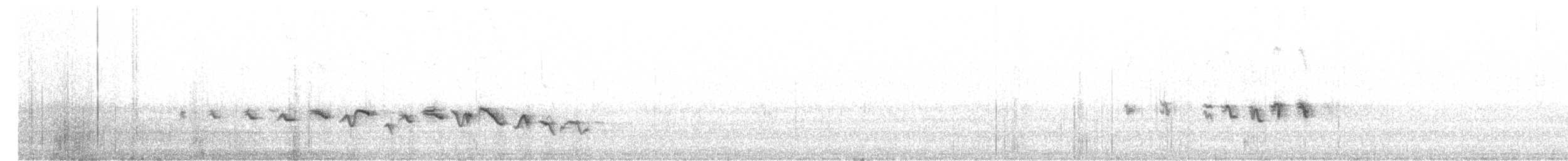 House Finch - ML617452551