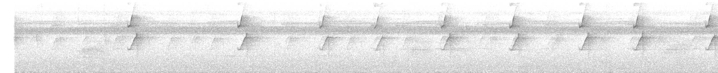 kolibřík světlebřichý - ML617452841