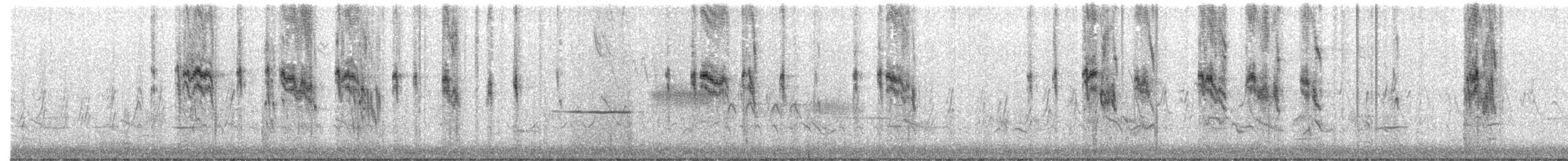 Hirondelle bicolore - ML617454390