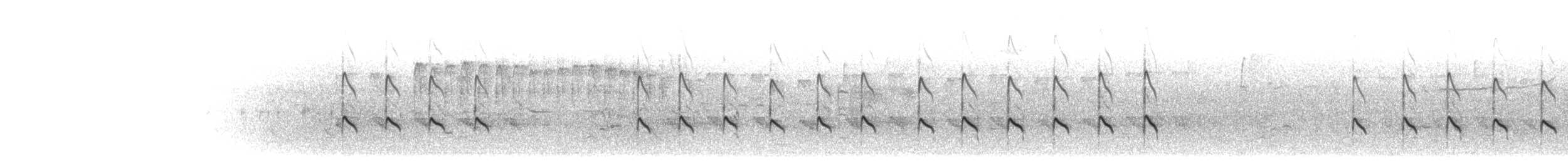 コキアシシギ - ML617454593