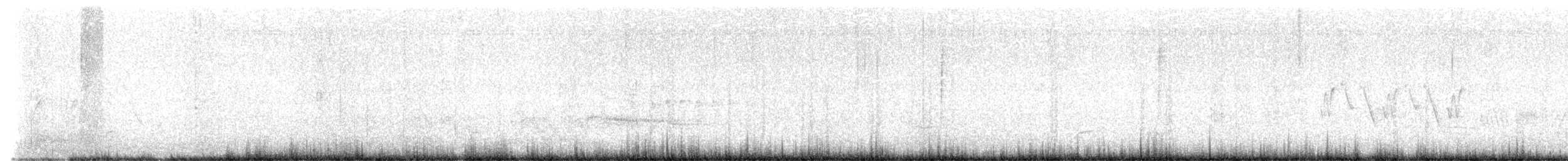 Whimbrel (Hudsonian) - ML617461248