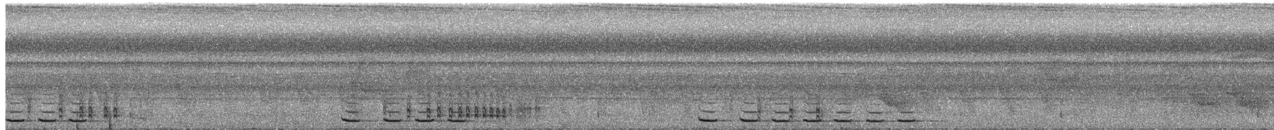 Gray-hooded Babbler - ML617462546