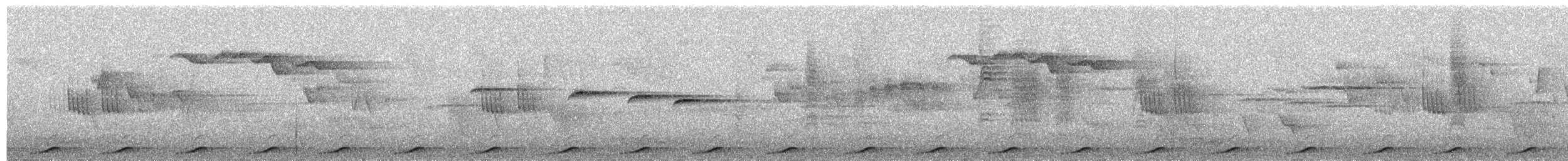 Little Cuckoo-Dove - ML617462571