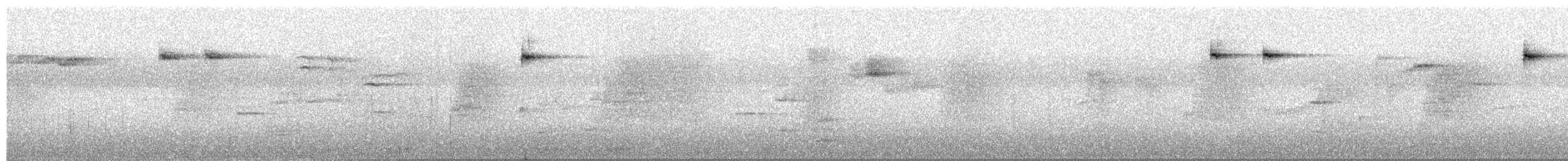 Снежнобровая мухоловка - ML617462652
