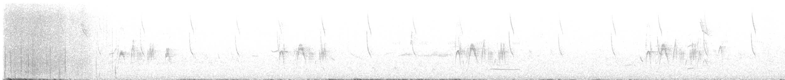 Güneyli Fare Rengi Tiranulet - ML617463801