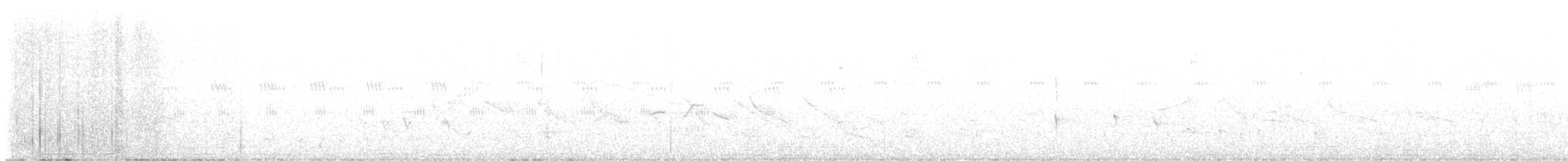 Küçük Kuyruksallayan Tiranı (bahiae) - ML617463855
