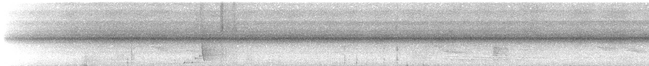 Breithauben-Stirnvogel [angustifrons-Gruppe] - ML617464104