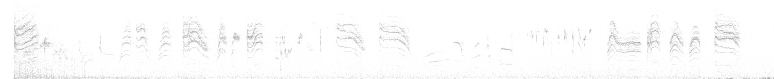 leskot modrošedý [skupina obscura] - ML617466006