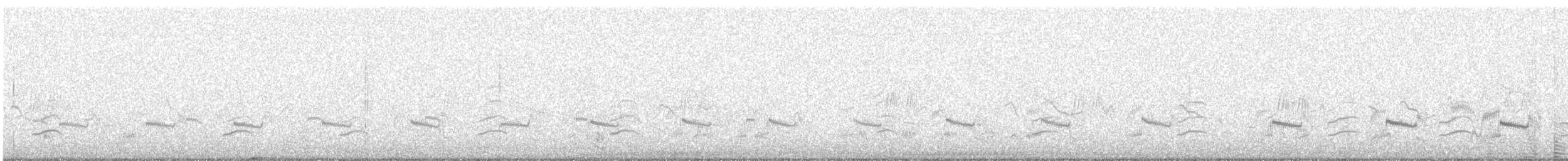 Little Ringed Plover - ML617471975