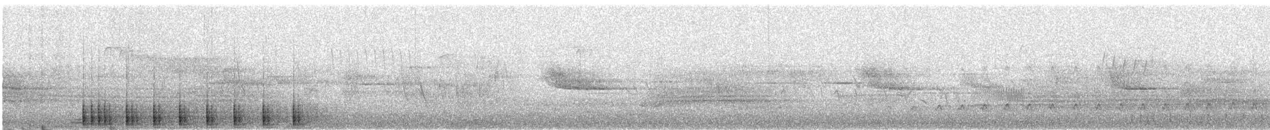 Дятел-смоктун білочеревий - ML617472695