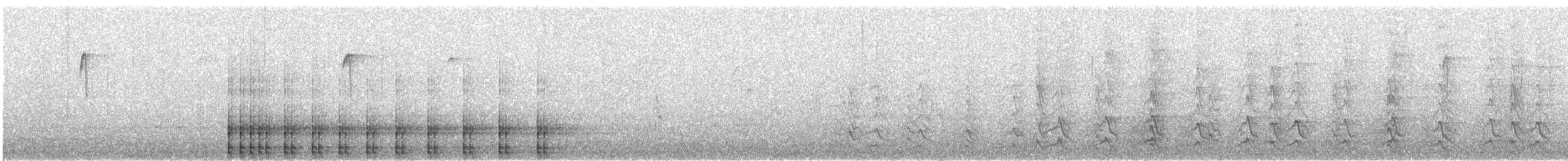 Дятел-смоктун білочеревий - ML617472696