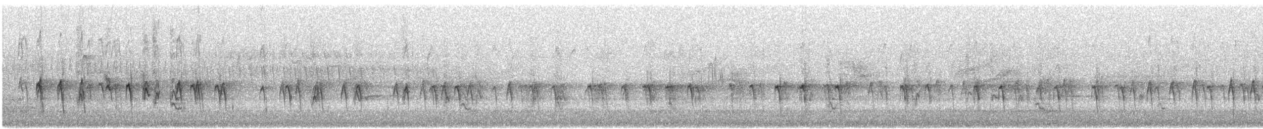 Bec-croisé des sapins (type 12) - ML617472942