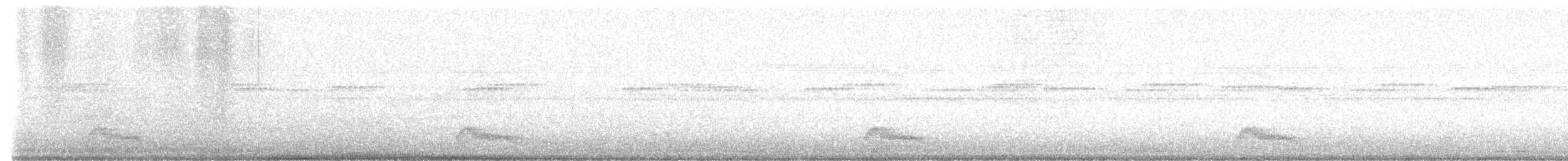 Pauraquenachtschwalbe - ML617478736