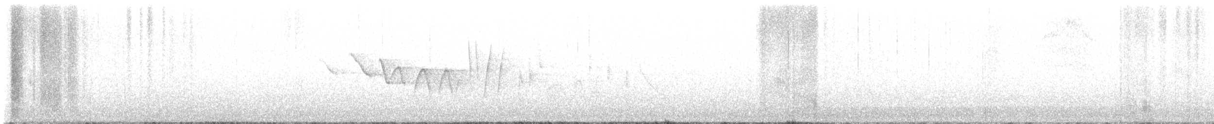 Трясогузковый певун - ML617478794
