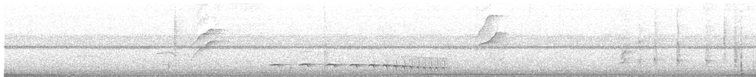 Olivgrau-Ameisenvogel - ML617479338