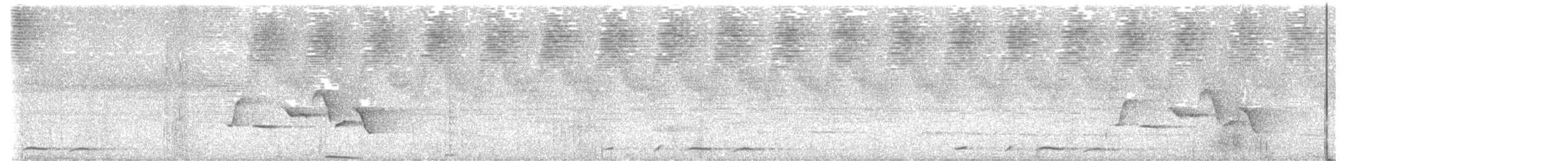 holub krátkozobý - ML617481732