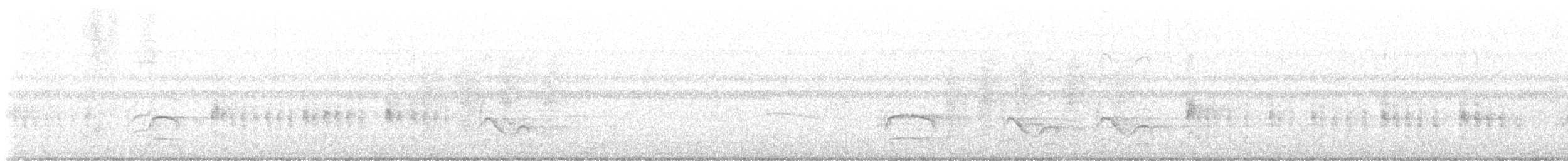 Büyük Kiskadi Tiranı - ML617481809