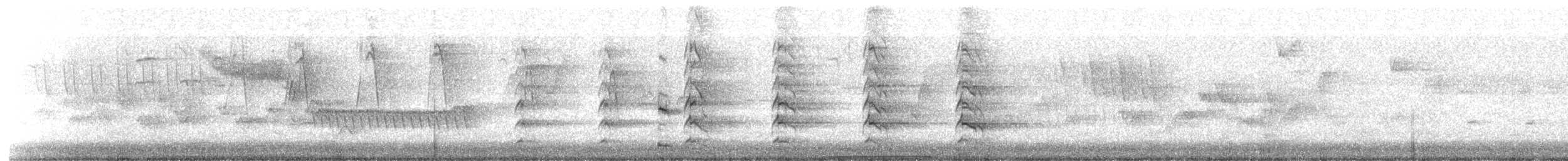 Rotschulterbussard (elegans) - ML617482410