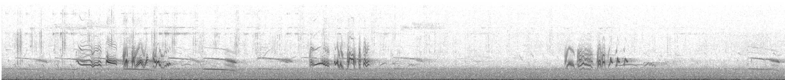 salašník modrý - ML617485221