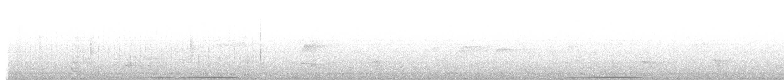 holub uzdičkový - ML617488748