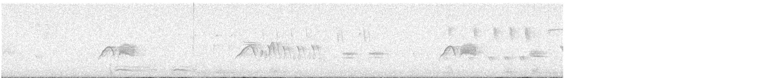 Светлобрюхий фиби - ML617489145