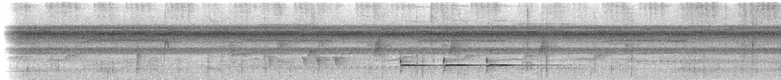 Черногрудый дятел-гренадер (occidentalis) - ML617490283
