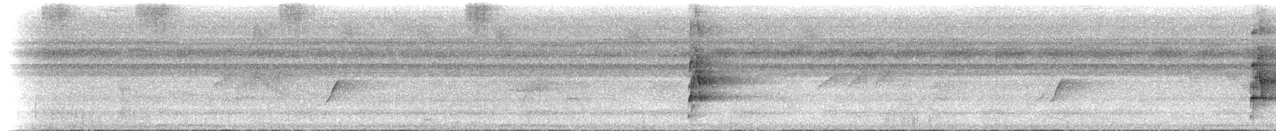 Bindenarassari - ML617490520