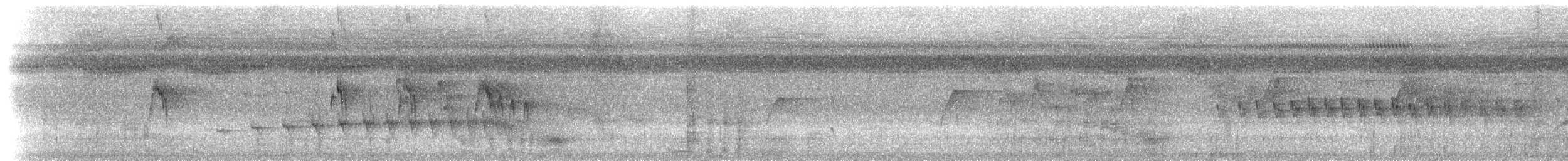 Weißkehl-Ameisenschlüpfer - ML617491356