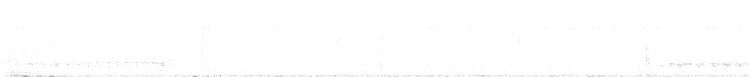 Black-hooded Antshrike - ML617492277